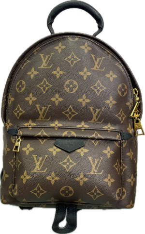 Louis Vuitton Palm Springs MM Monogram Backpack
