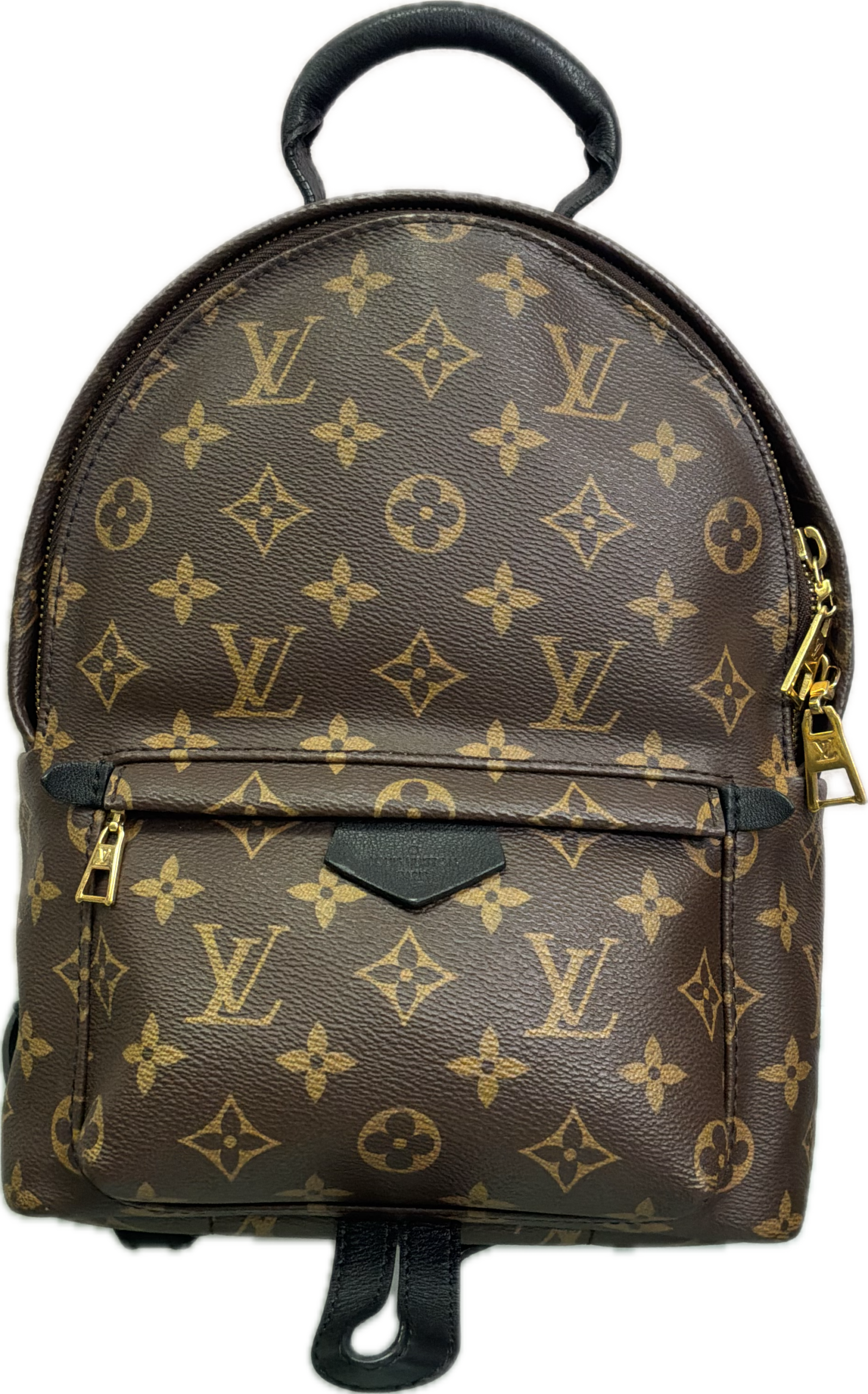 Louis Vuitton Palm Springs MM Monogram Backpack