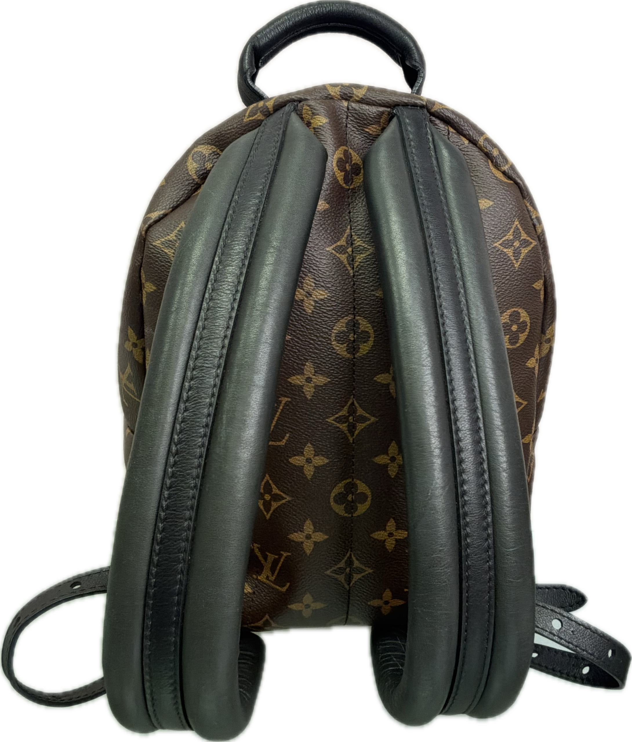 Louis Vuitton Palm Springs MM Monogram Backpack - Image 2