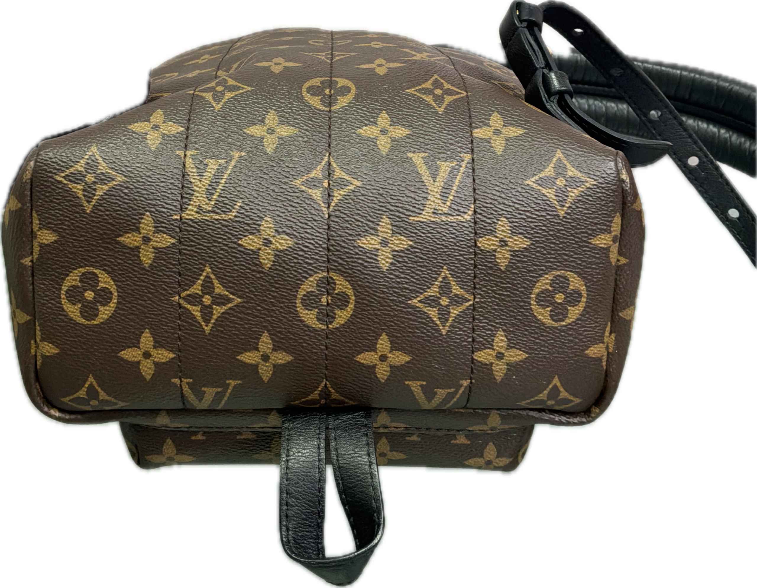 Louis Vuitton Palm Springs MM Monogram Backpack - Image 4