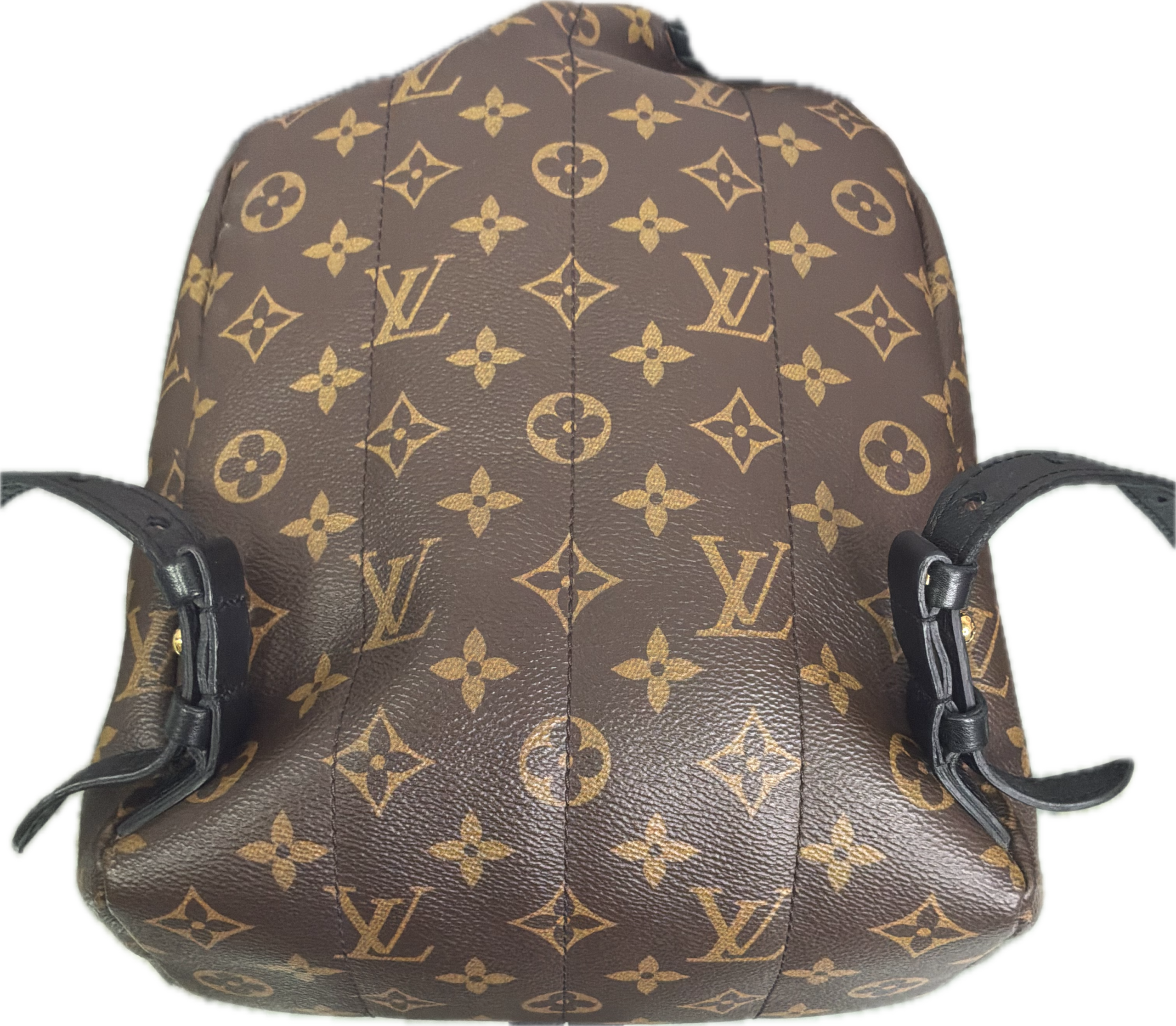 Louis Vuitton Palm Springs MM Monogram Backpack - Image 5